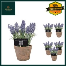 Large Aged Terracotta Garden