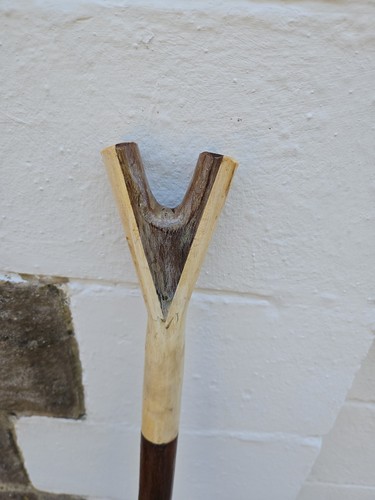 Thumbstick walking staff
