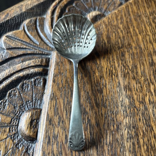 Antique scallop shell - antique, 'scallop