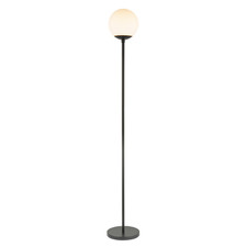 Modern Matte Black Floor Lamp