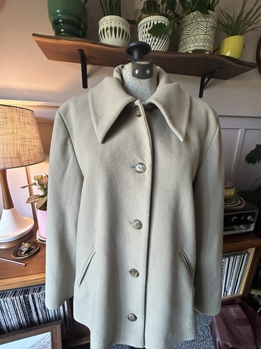 Paul costelloe dressage - costelloe,