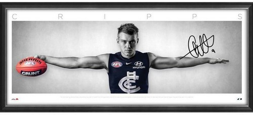Afl patrick cripps - patrick, carlton