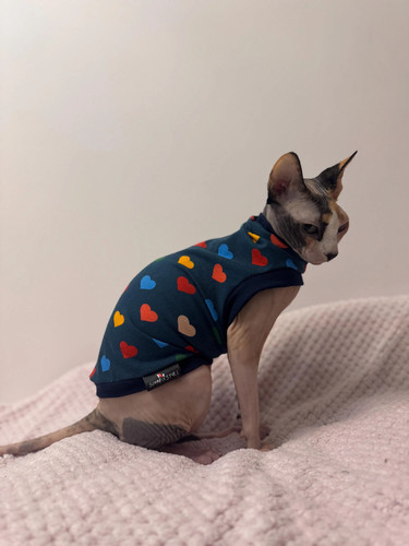 Premium cotton sphynx - premium, cat