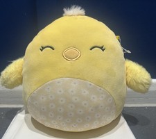Squishmallow Aimee The Chick ? Pre loved 