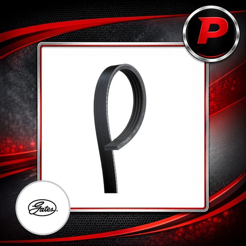 Ribbed belt fits ford geo - v-ribbed,