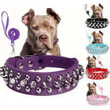 Studded Spiked Dog Collar