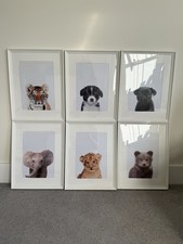 6 X A4 Children’s Animal