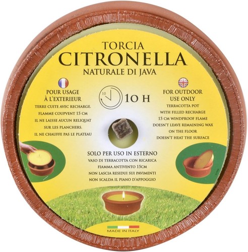Citronella candle fly - citronella,