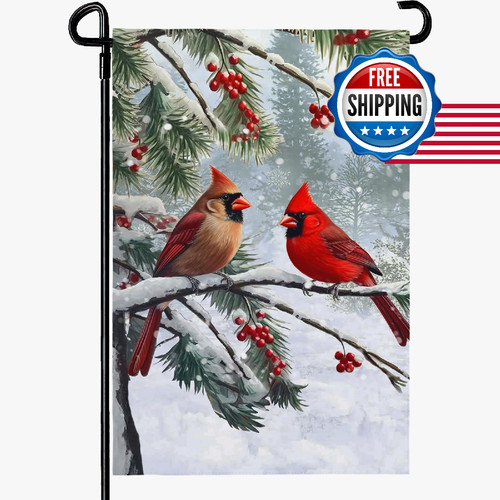 Dacawin winter cardinal bird - winter,