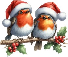 Colour Christmas Robin Bird