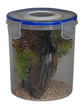 Tarantula,Spider,Stick