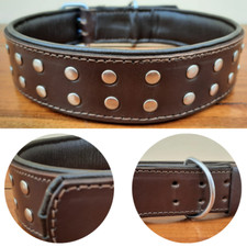 Studded Dog Collar 2" Wide