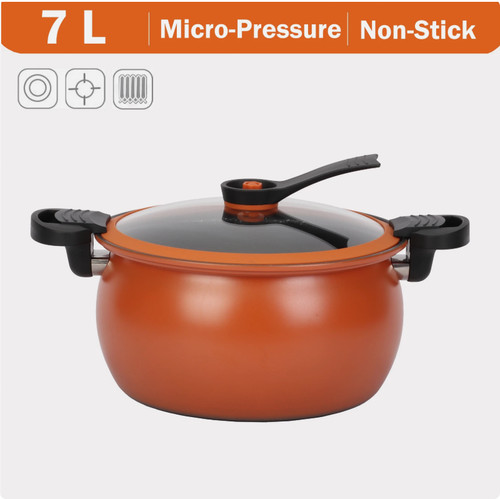 Micro pressure cooker large - micro,