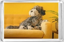 AA Dog Fridge Magnet sitting