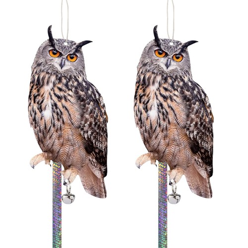 Bird scarers for gardens - bird,