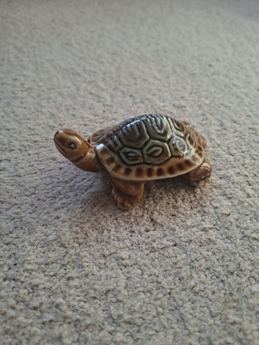 Diamond back terrapin - terrapin, turtle
