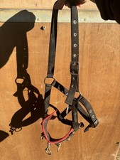 Full size cottage Craft Lunge