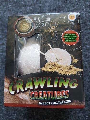 Insect fossil egg excavation - fossil,