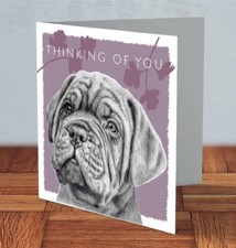 Dogue de Bordeaux dog puppy
