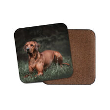 Rhodesian Ridgeback Dog Coaster - Cute Puppy Dogs Animals Pets Girls Gift #16679