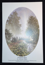 Anthony Waller PRIMROSE BANK