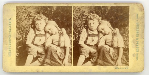 Stereoview stereoscope card - stereoview,
