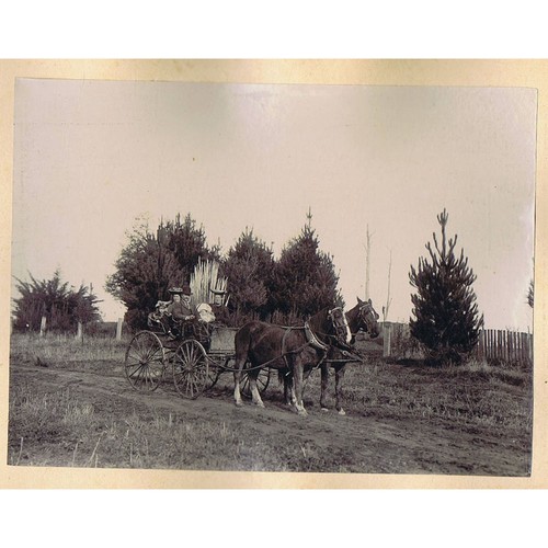 Australia family riding a - family,