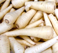 400x Parsnip Tender And True Seeds - Vegetable