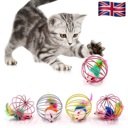 Play cat accessories kitten - cat,