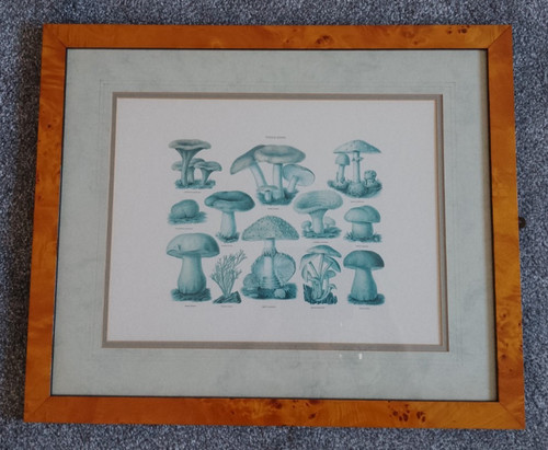 Vintage quality framed - vintage,