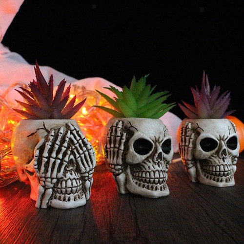 Shaped head design - head,