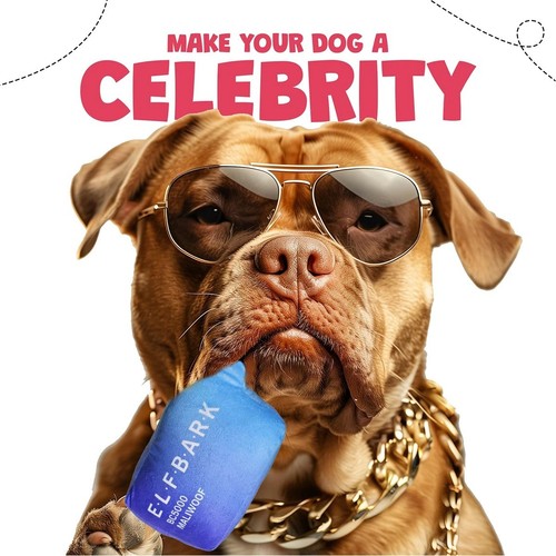 Funny dog toys - toys, with