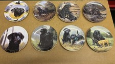 8 X Franklin Mint Labrador