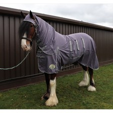 Ruggles Heavy Horse UV Combo Fly Rug - Fly Bug & Biting Insect Protection