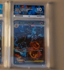 Mega Charizard ex - 110/080 Special Art Rare - Inferno X (Ace 10) Perfect Subs