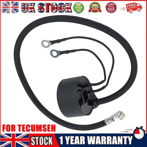 New small engine ignition - small,