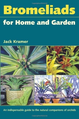 Bromeliads for home - bromeliads, and