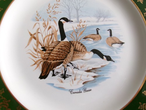 Decorative plate weatherby - decorative, by