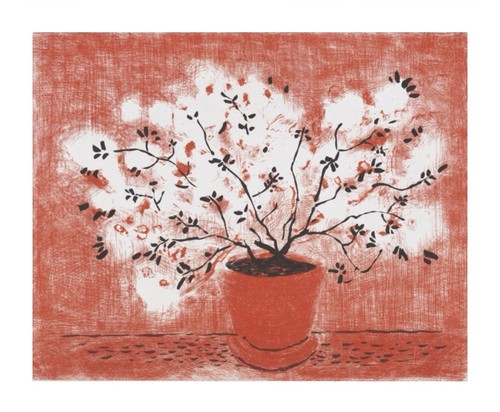 David hockney red - red, wire