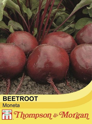 Thompson morgan beetroot - &,
