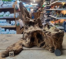 Derwen oak bogwood 52cm - bogwood, 24-52cm