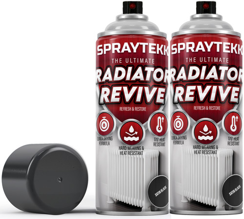 Radiator aerosol spray paint - aerosol,