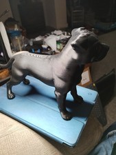 STAFFORDSHIRE BULL TERRIER