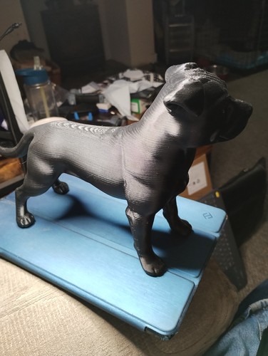 Staffordshire bull terrier - bull,