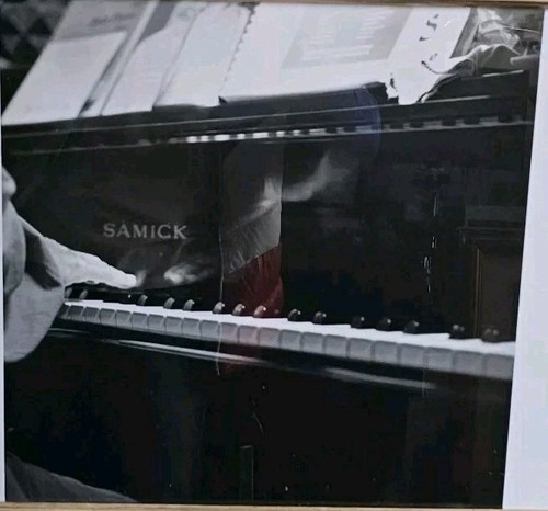 Samick piano player monochrome - piano,