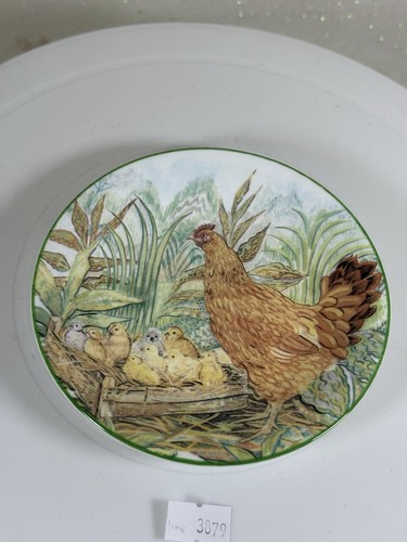 Royal kendal hen - kendal, hen's