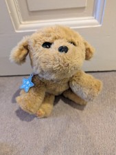 Little live pets dream - little,