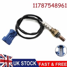 Downstream Oxygen Sensor