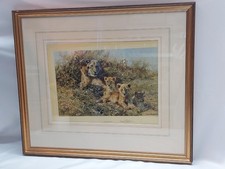 David Shepherd Ltd Edition