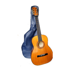 Tatra Classic Six String